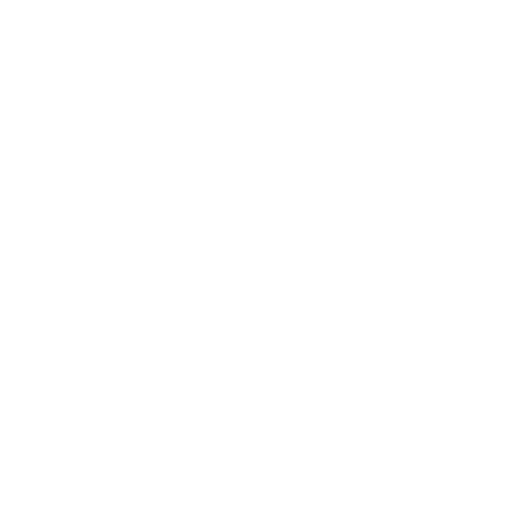 Lion Games